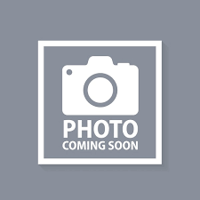 Durable Cat Scratch Resistant Fabric Living Room Couch Sofa