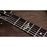 PRE-ORDER Taylor 314ce The Last of Us Part II Replica Guitar - Limited Edition Bundle (Excluded)