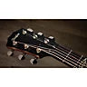 PRE-ORDER Taylor 314ce The Last of Us Part II Replica Guitar - Limited Edition Bundle (Excluded)